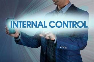 Internal Control System Setup
